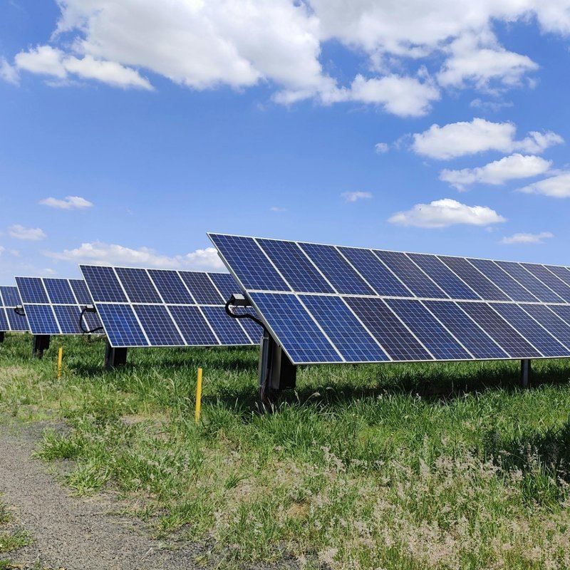 Hileras de paneles solares en un campo llano con pasto, bajo un cielo con nubes