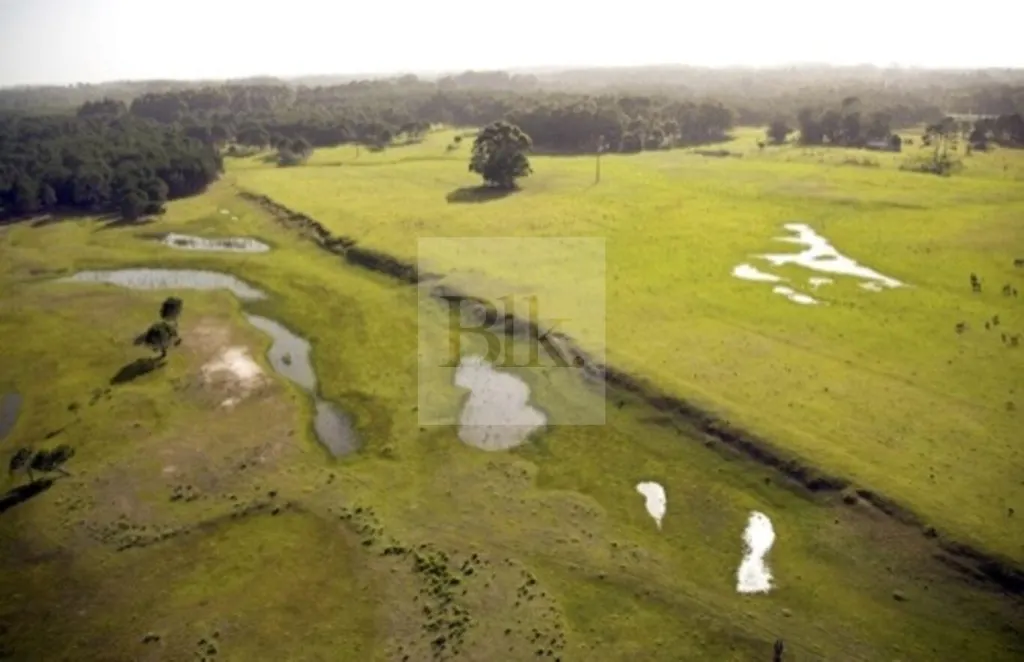 Chacra de 8 ha sobre Laguna Negra · Chacra en Rocha