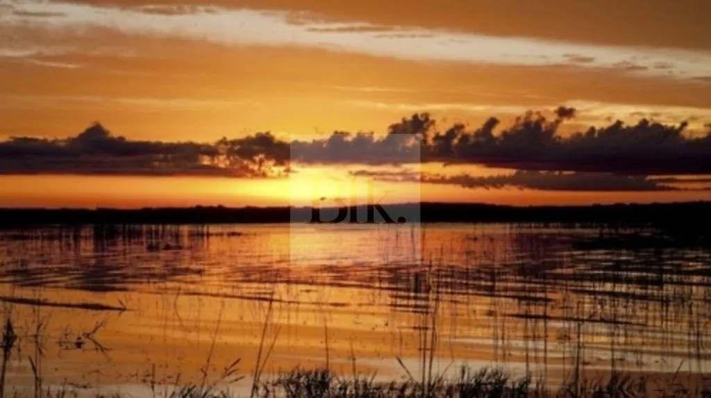 Farmland with frontage on Laguna Negra, Rocha · Rocha