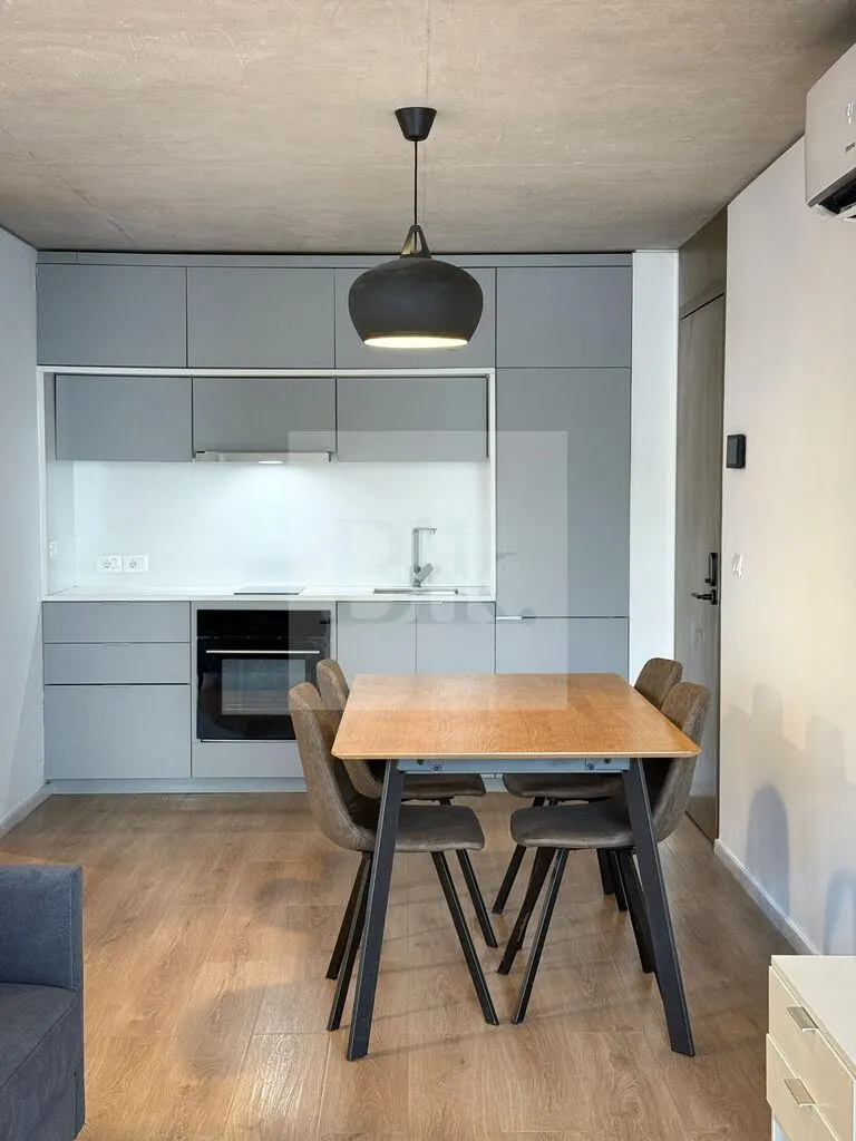 Alma Duc – 1 bedroom – WITH INCOME · Centro