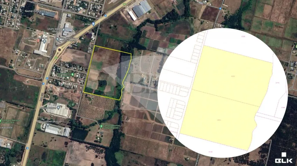12,5 ha Camino de los Horneros