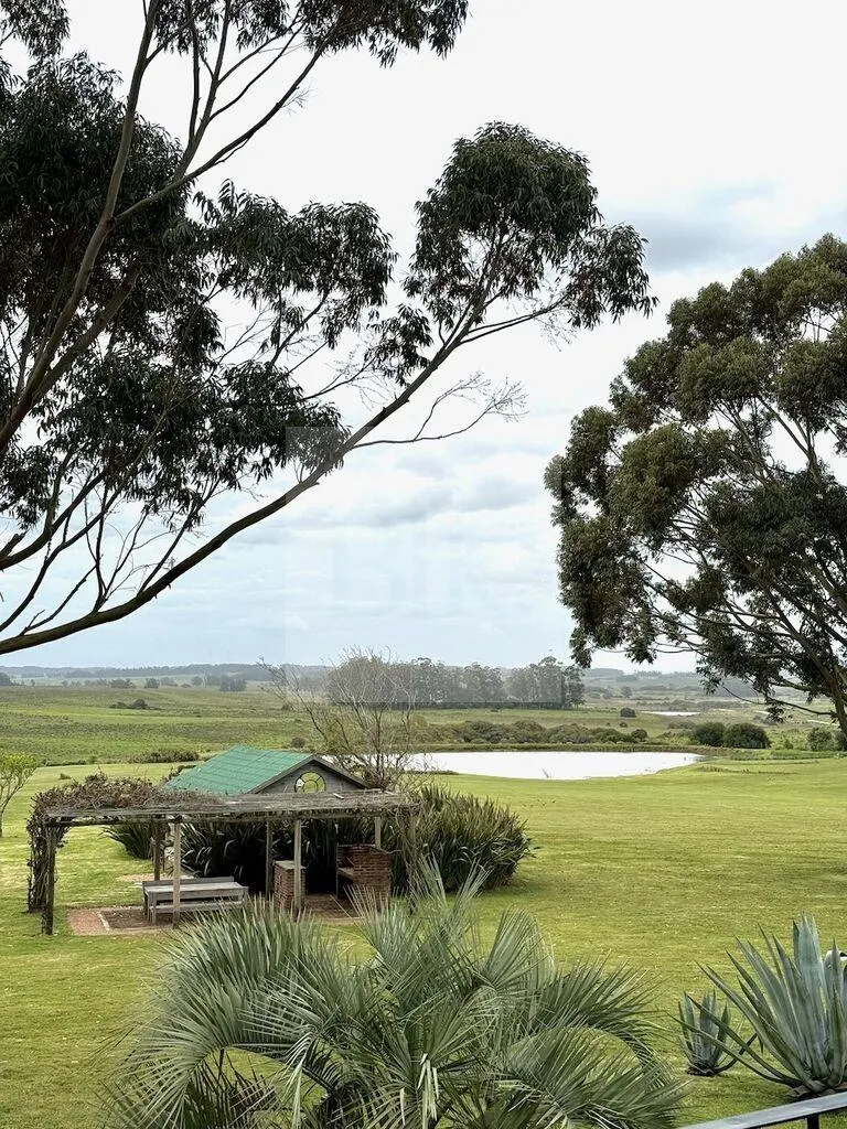 Farm with garden and swimming pool in José Ignacio · Farm in Arenas