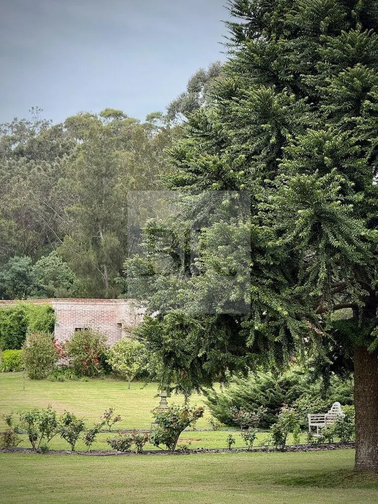 Farm with garden and swimming pool in José Ignacio · Farm in Arenas