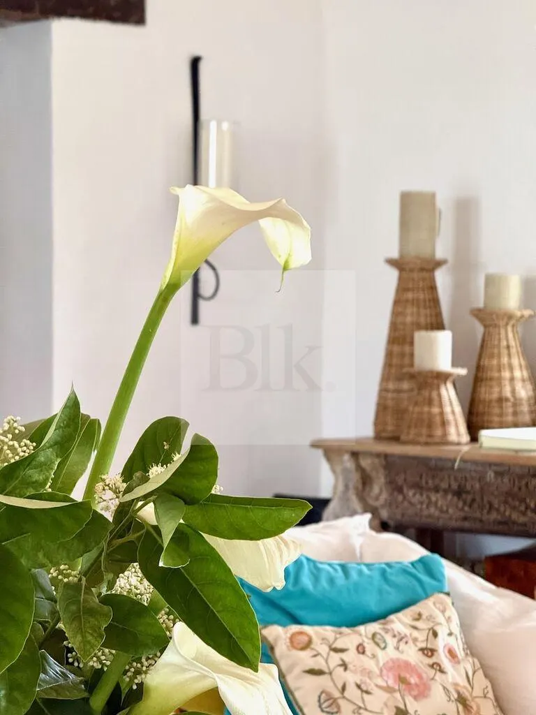 Farm with garden and swimming pool in José Ignacio · Farm in Arenas