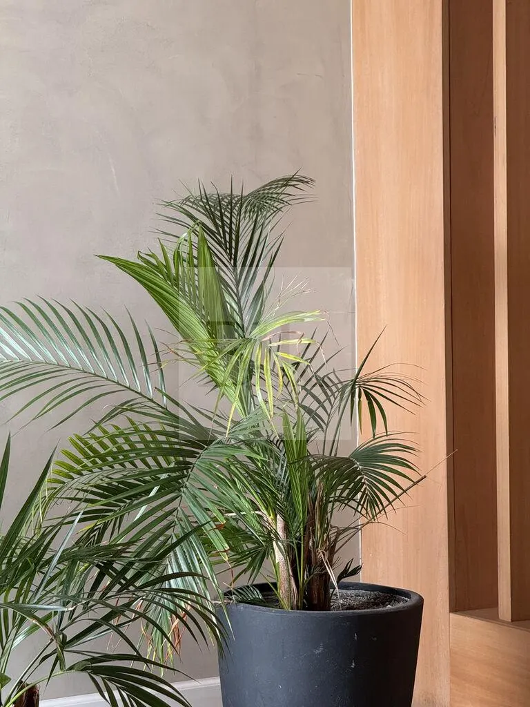 Ground-floor apartment with garden and lake view on Av. de las Américas · Apartment in Parque Roosevelt