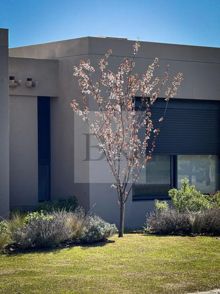 Casa com jardim e fundos para o lago em Viñedos de la Tahona · Casa em Viñedos de la Tahona