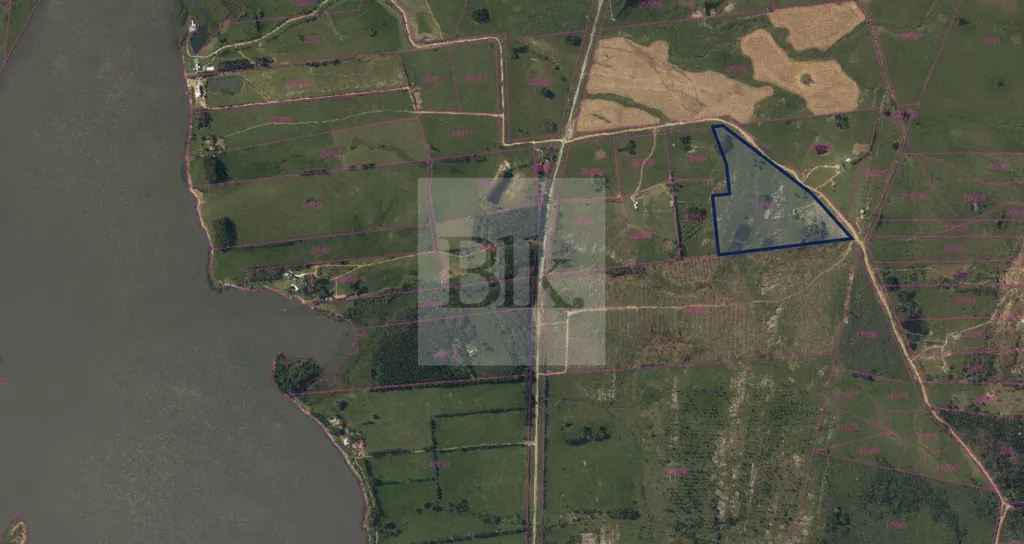 5.5 ha farm in Punta Ballena, on Ruta 12 and Ruta 9 · Farm in Maldonado