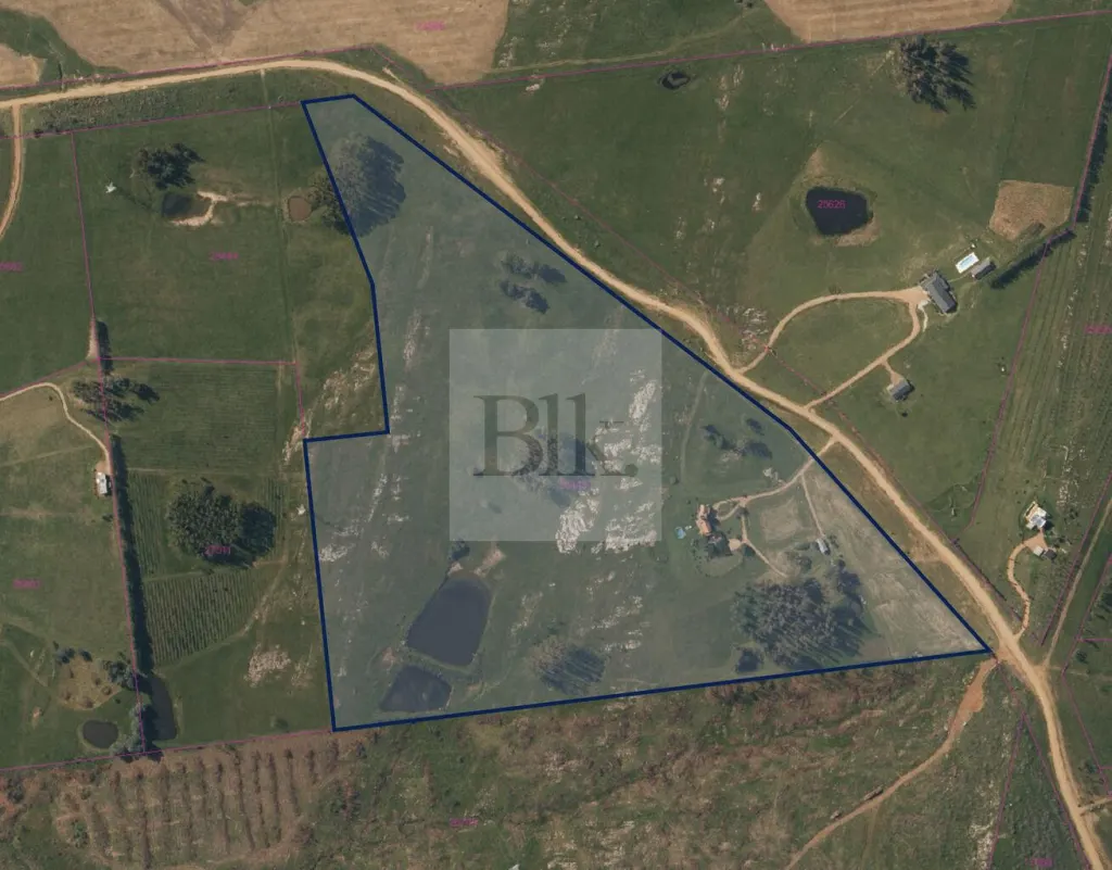 5.5 ha farm in Punta Ballena, on Ruta 12 and Ruta 9 · Farm in Maldonado