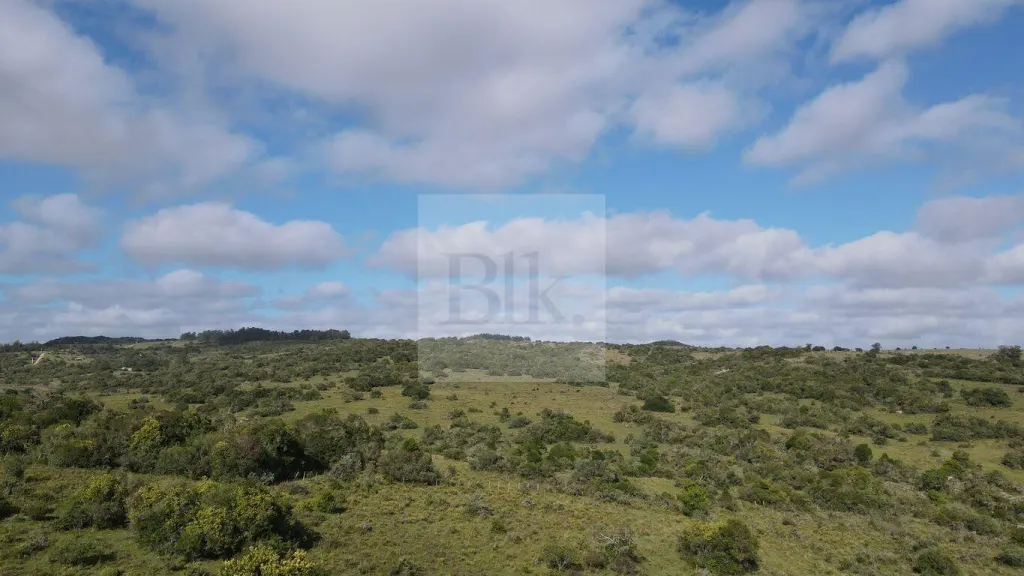 Chacras de 3ha en venta en Aiguá · Chacra en Cumbres de Aiguá