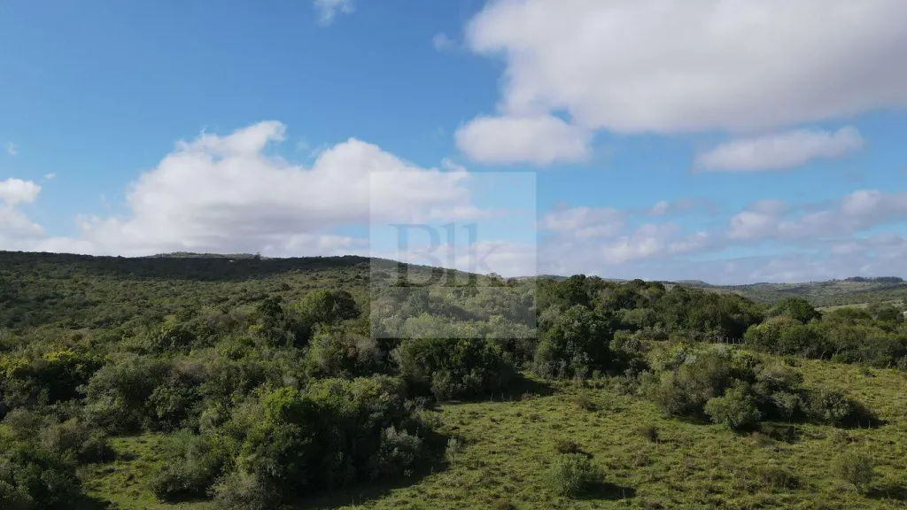 Chacras de 3ha en venta en Aiguá · Chacra en Cumbres de Aiguá