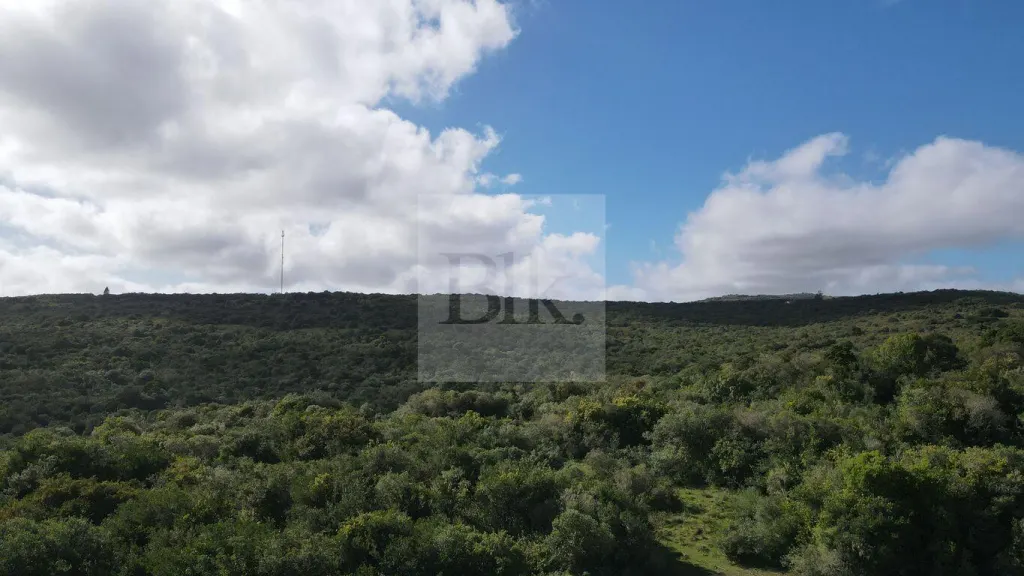 Chacras de 3ha en venta en Aiguá · Cumbres de Aiguá