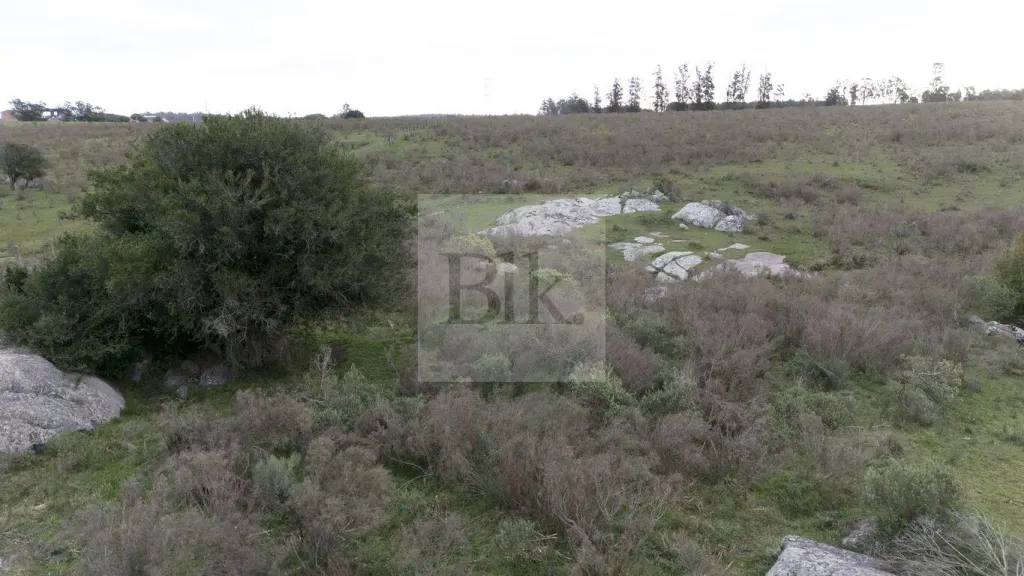 Chácara de 5 ha com frente para a Ruta 82, Empalme Olmos · Fazenda em Canelones