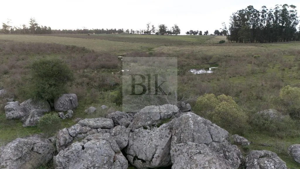 Chácara de 5 ha com frente para a Ruta 82, Empalme Olmos · Fazenda em Canelones