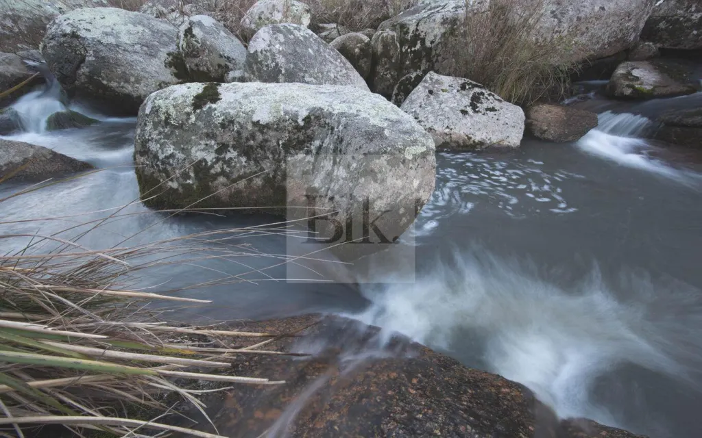 Campo de sierras de ~500 ha con monte nativo, agua pura y manejo regenerativo · Treinta y Tres