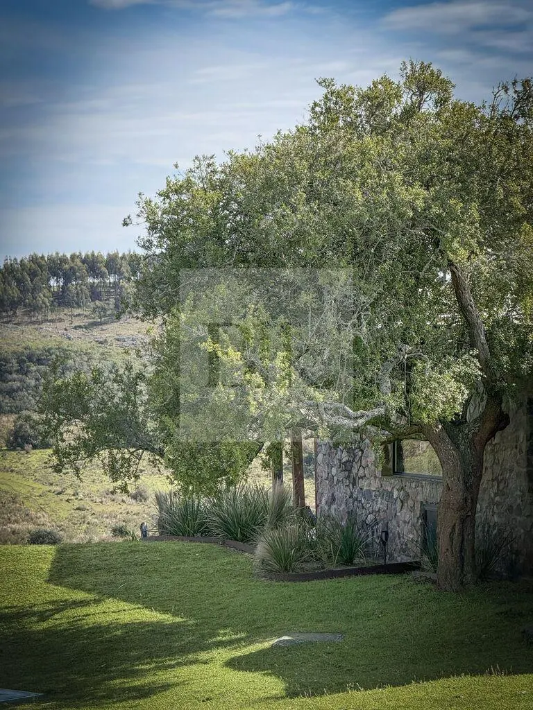 91-hectare farm in Lavalleja · Ranch in Lavalleja