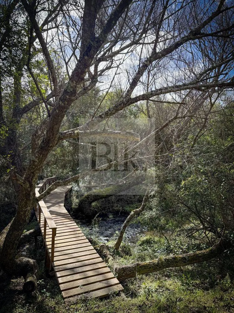 91-hectare farm in Lavalleja · Ranch in Lavalleja