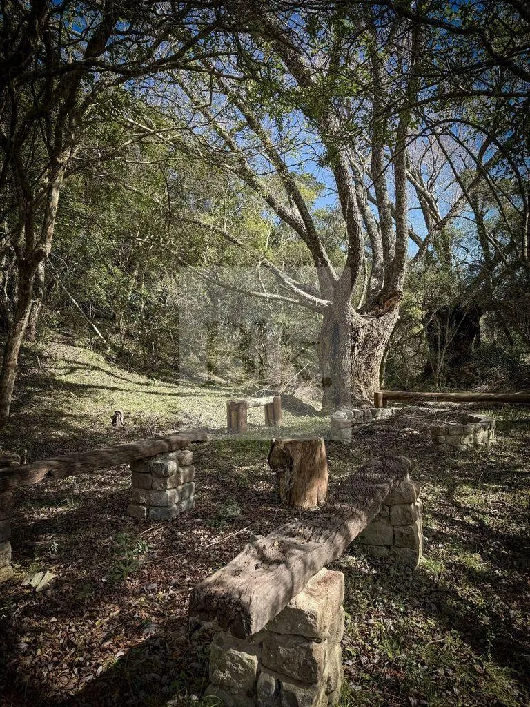 91-hectare farm in Lavalleja · Ranch in Lavalleja