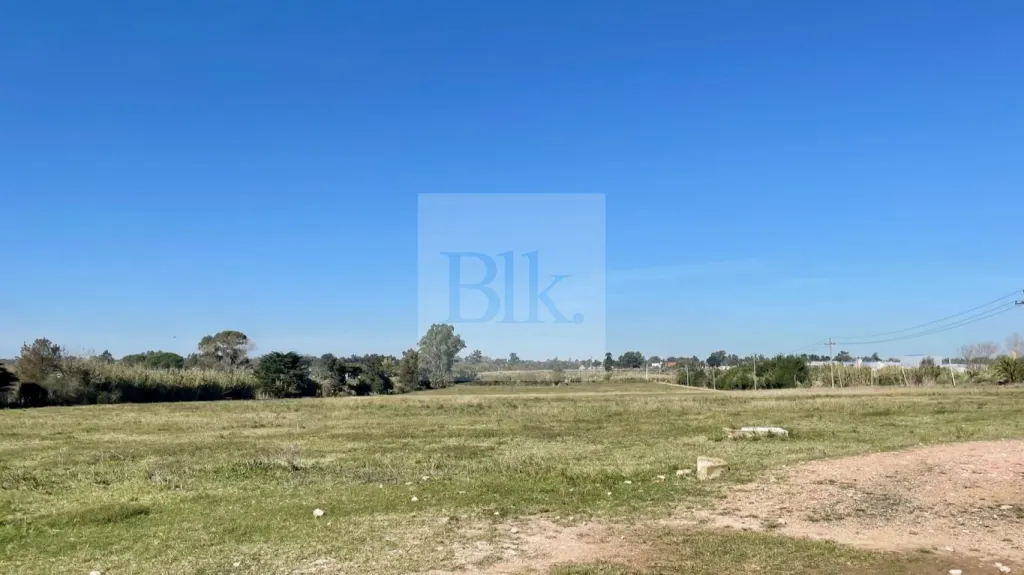 Rural property with former winery in Barros Blancos · Land in Barros Blancos