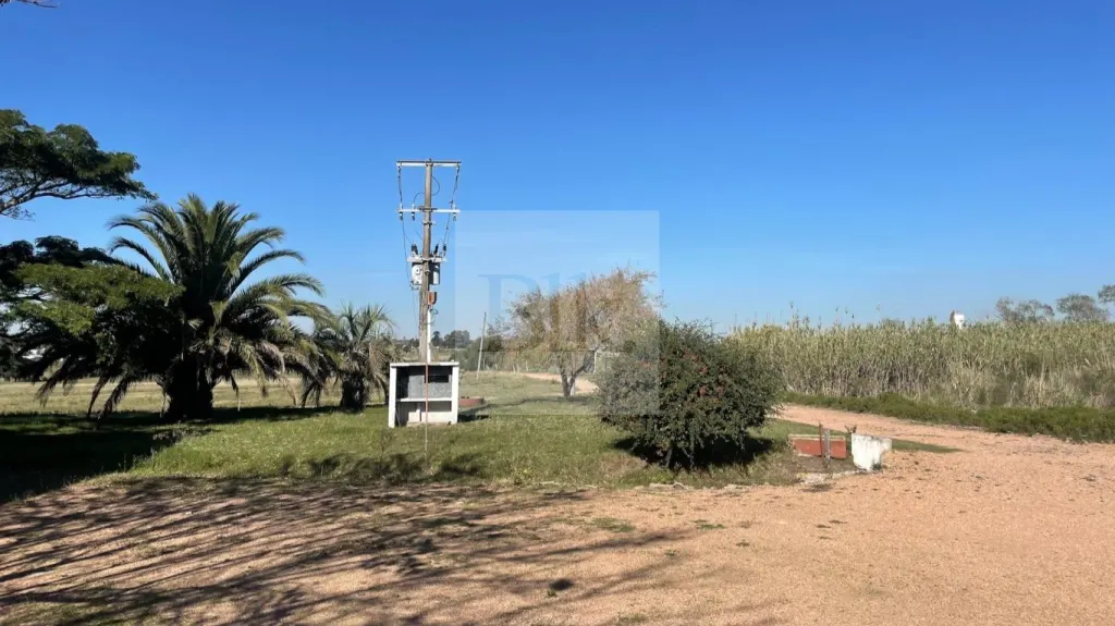 Rural property with former winery in Barros Blancos · Land in Barros Blancos
